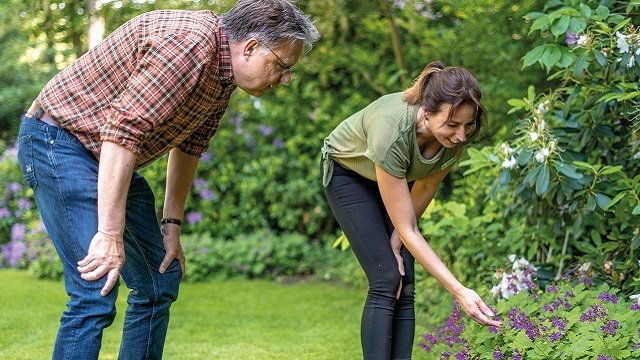 Advies voor de tuin